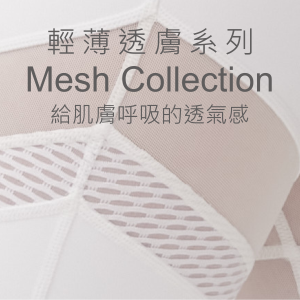 Mesh Collection